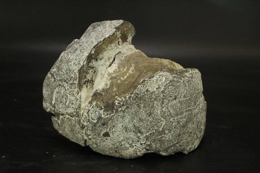 馬蹄石 夕凪観音 石仙 姿石 盆石(A598)