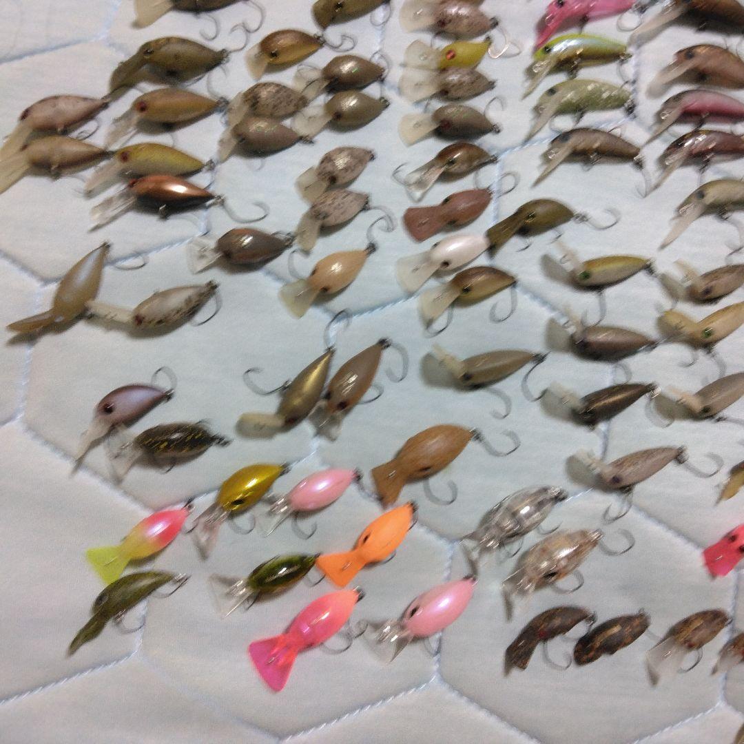 エリアトラウト引退　オリカラ大量　ロデオ、ディスプラウト、ティモン等