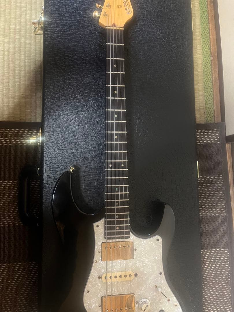 FUJIGEN EOS AL. HSH. エレキギター ハードケース付