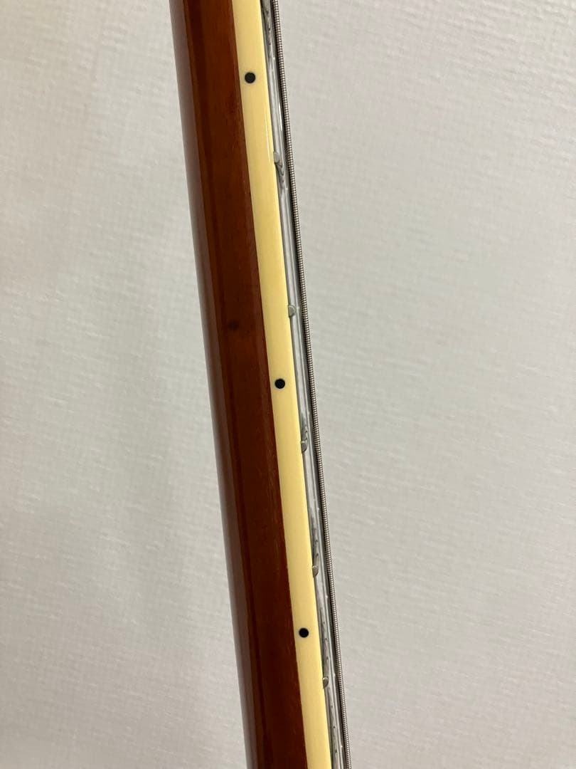 Sadowsky ss-15 Sienna Burst 2022年製　フルアコ