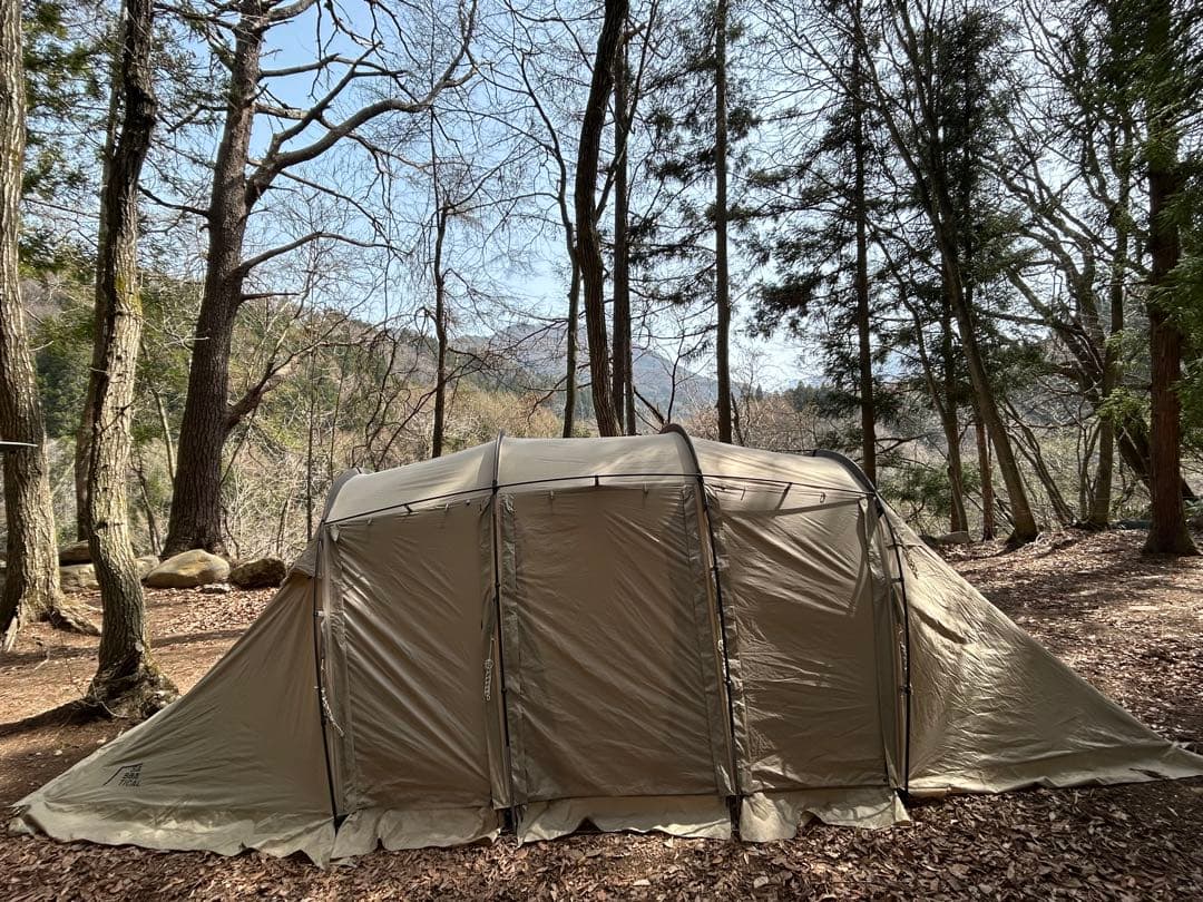 サバティカル　アルニカ　初期モデル