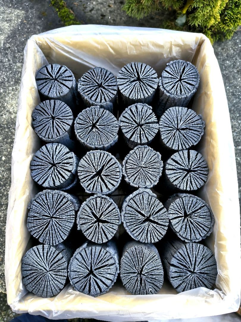 【愛媛産】クヌギ炉用胴炭約5kg 皮剥がれ