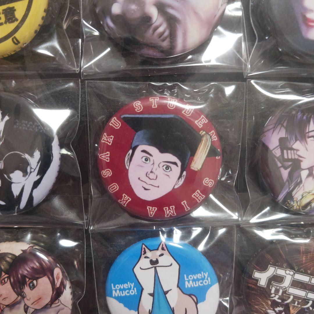 イブニング 夏フェス 2015 抽選 50名 当選品 缶バッジ セット