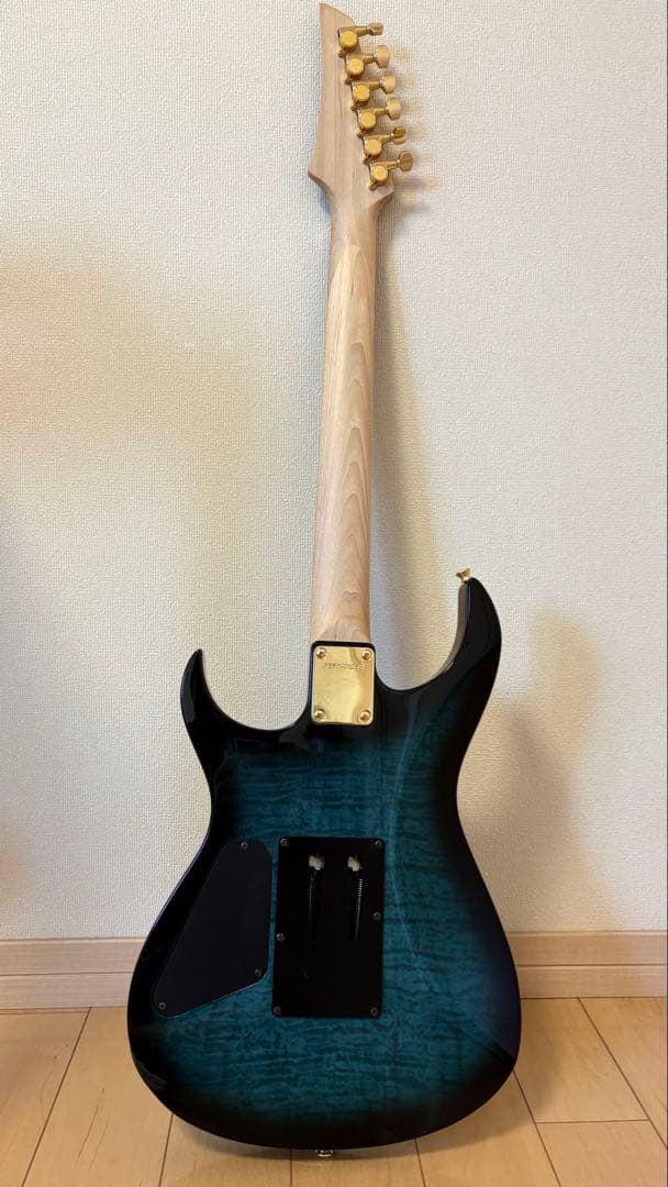 FERNANDES FGZ-420 エレキギター ストラトキャスター