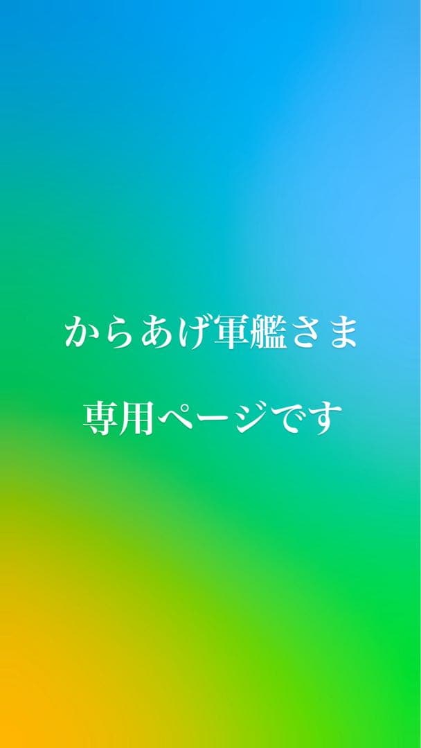 【11月5日まで取り置き】からあげ軍艦さま専用ページ