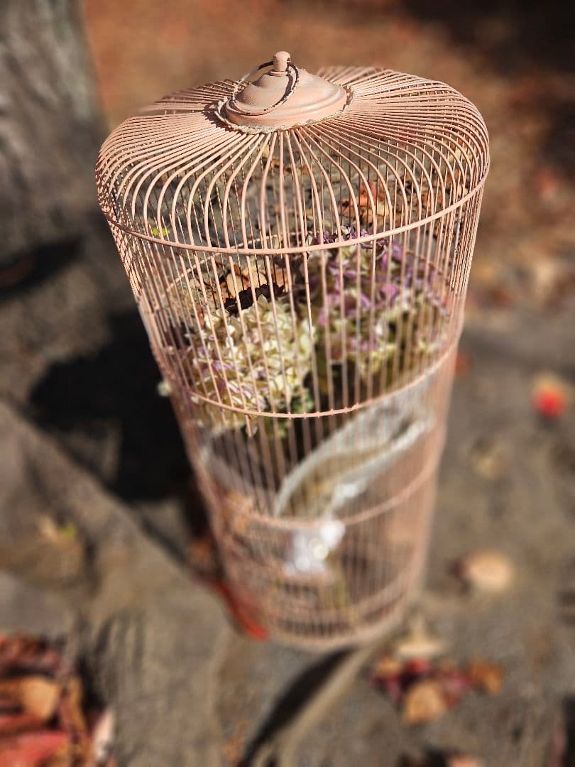 フランスアンティーク風　鳥かご　ピンク　シャビー　ブロカント