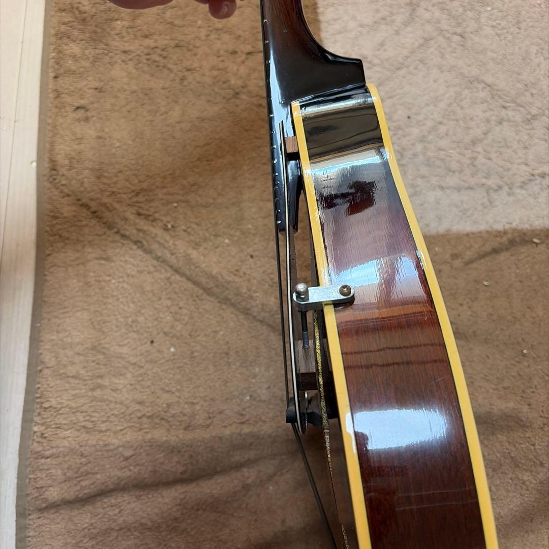 フラットマンドリン　MAVIS