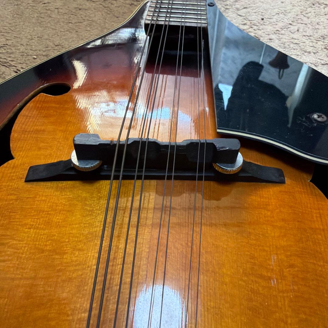 フラットマンドリン　MAVIS