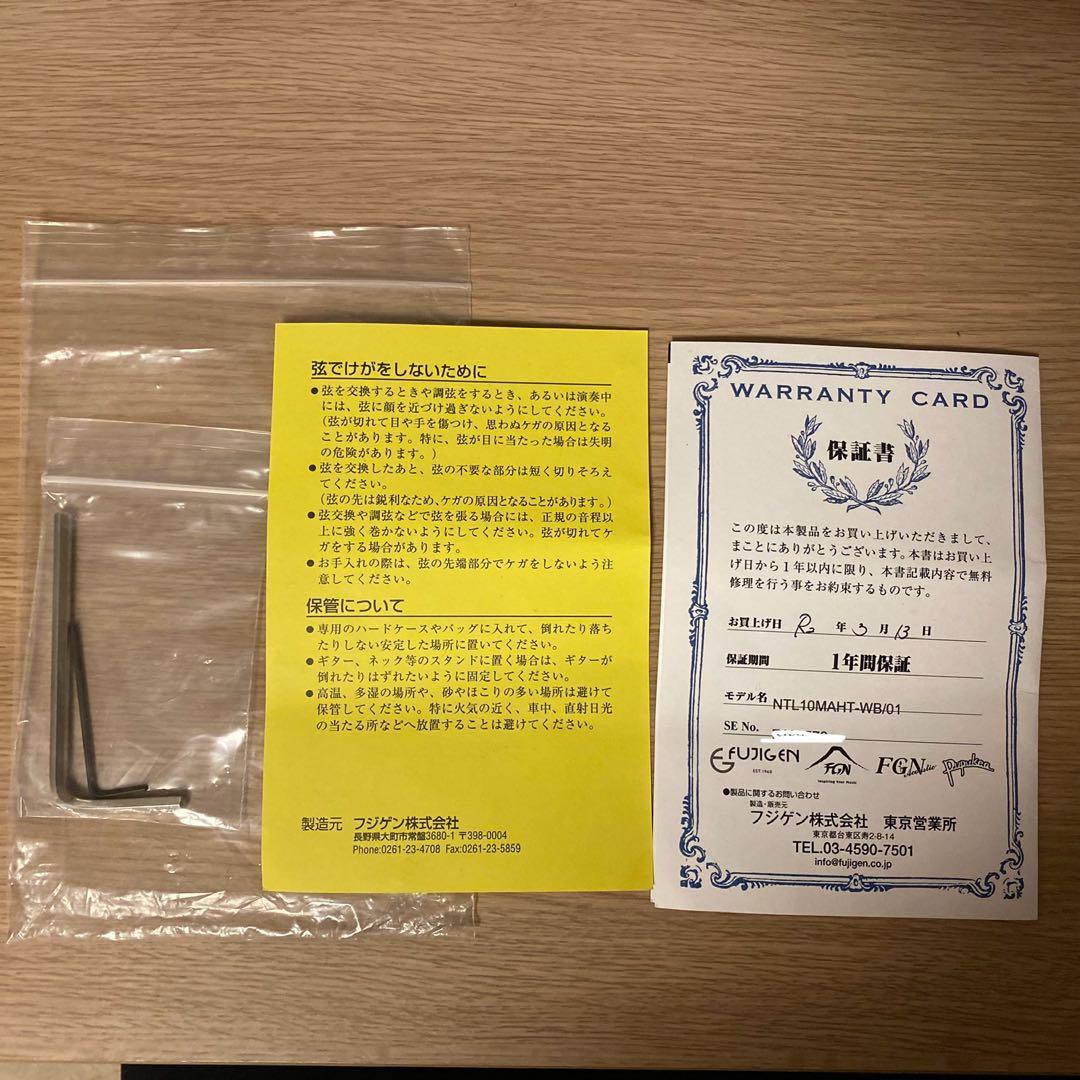 ギター FUJIGEN Telecaster Thinline white