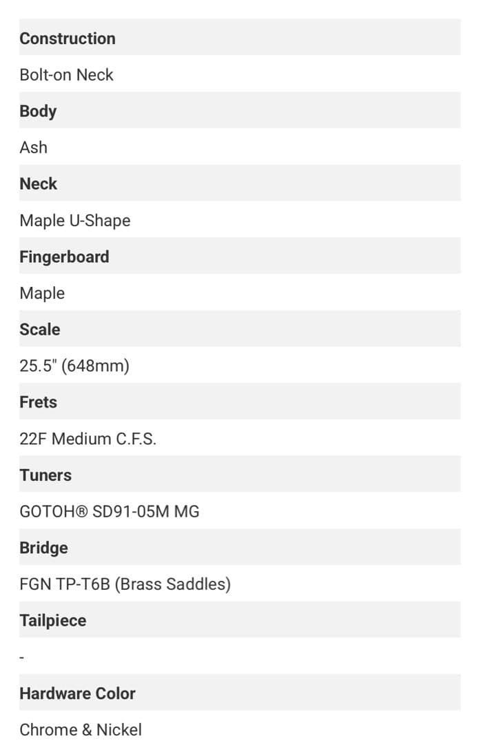 ギター FUJIGEN Telecaster Thinline white