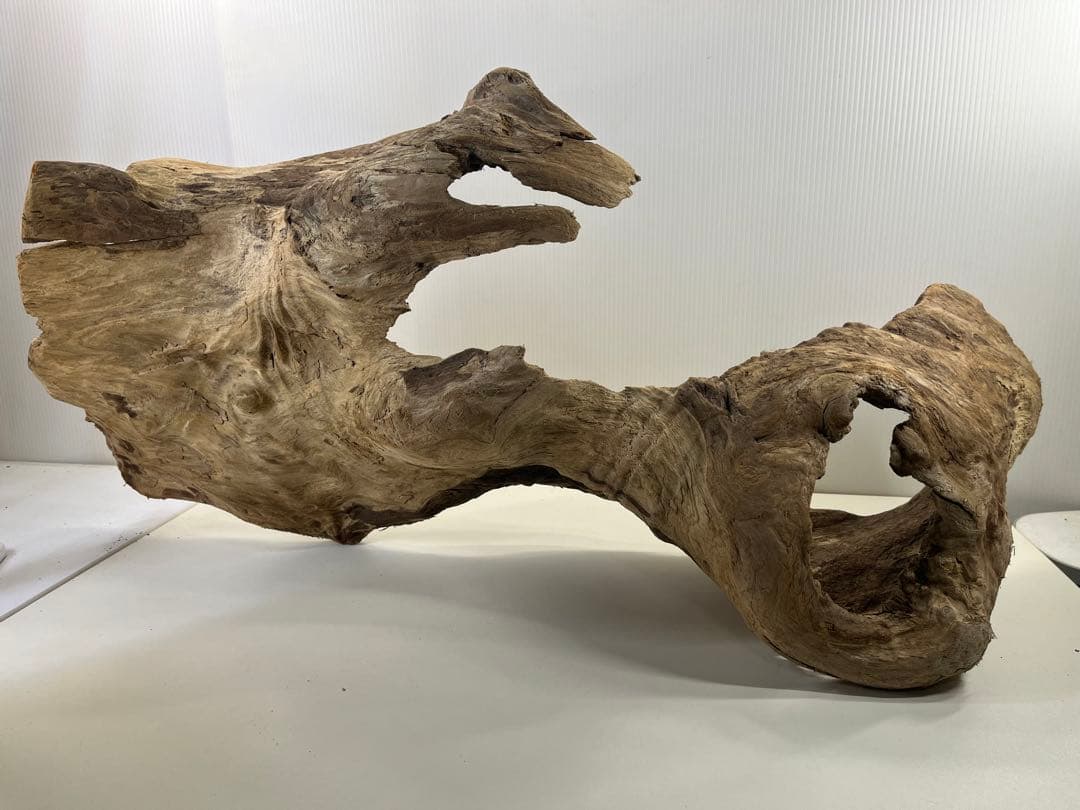 m61特大流木 アク抜き済み 爬虫類シェルター レイアウト用 登り木 インテリア