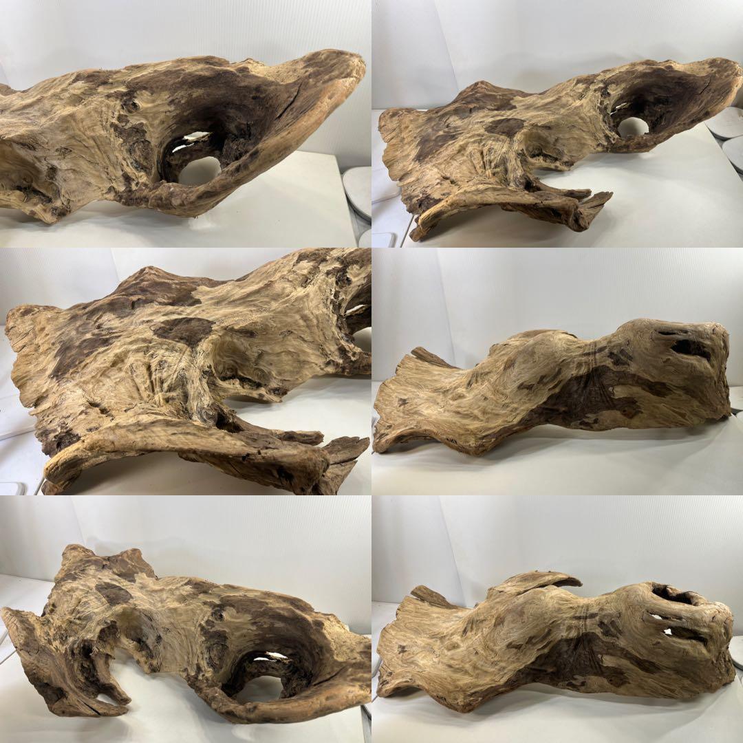 m61特大流木 アク抜き済み 爬虫類シェルター レイアウト用 登り木 インテリア