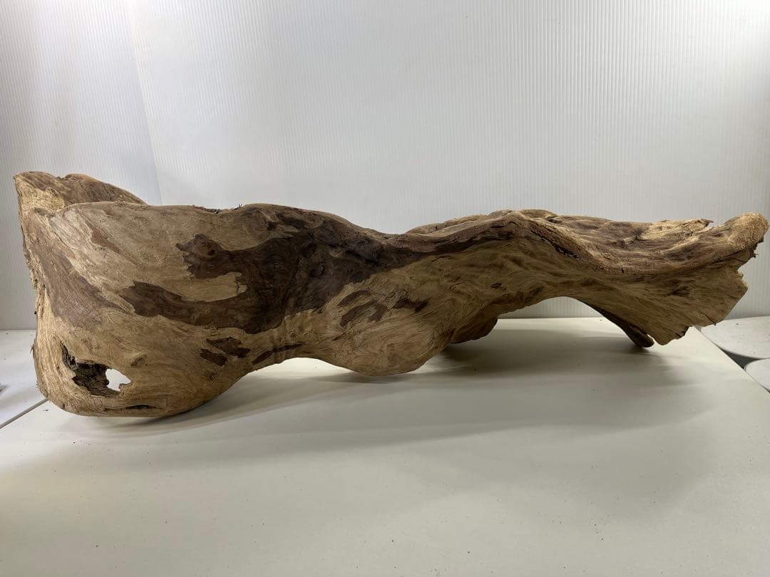 m61特大流木 アク抜き済み 爬虫類シェルター レイアウト用 登り木 インテリア