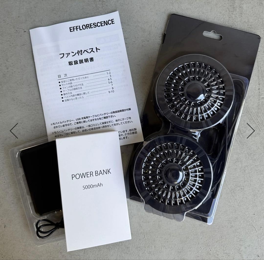 kaminorinori EFFLORESCENCE エフロレッセンス