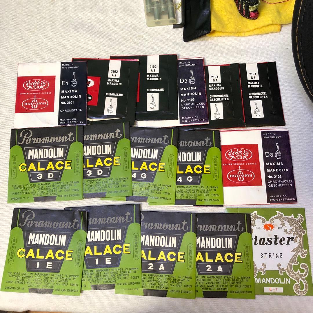 フラットマンドリン 日本製ハードケース付き！