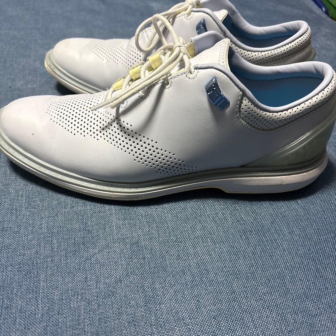 【一回着用美品】ジョーダンゴルフADG4 26㎝ NIKE