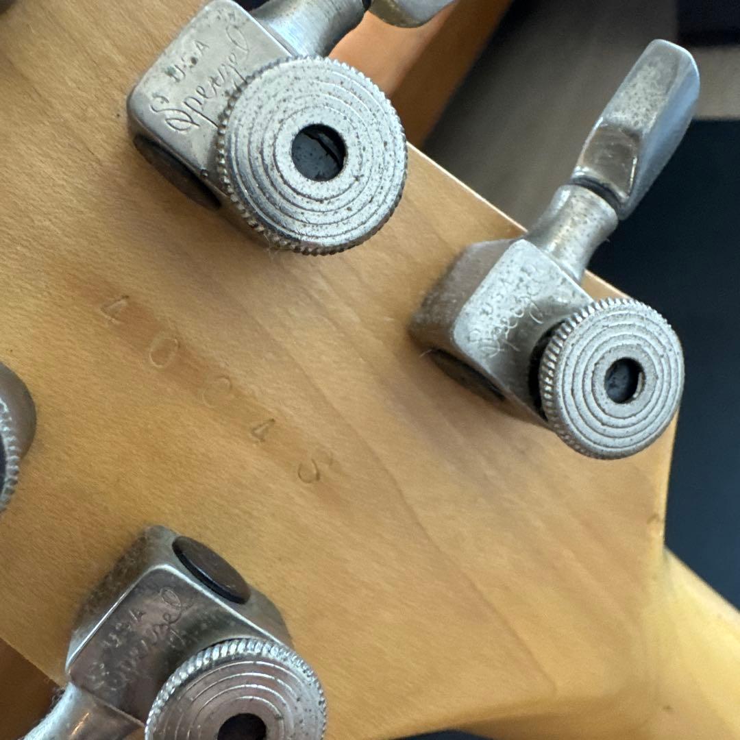 dragofly IL CUORE ギター