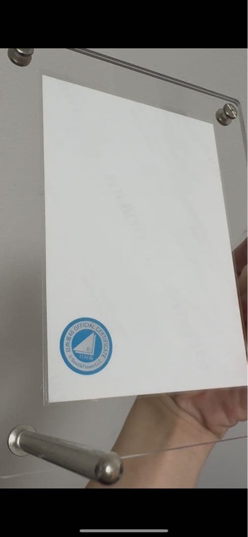 藤嶌果歩 生写真 サイン 黄色衣装