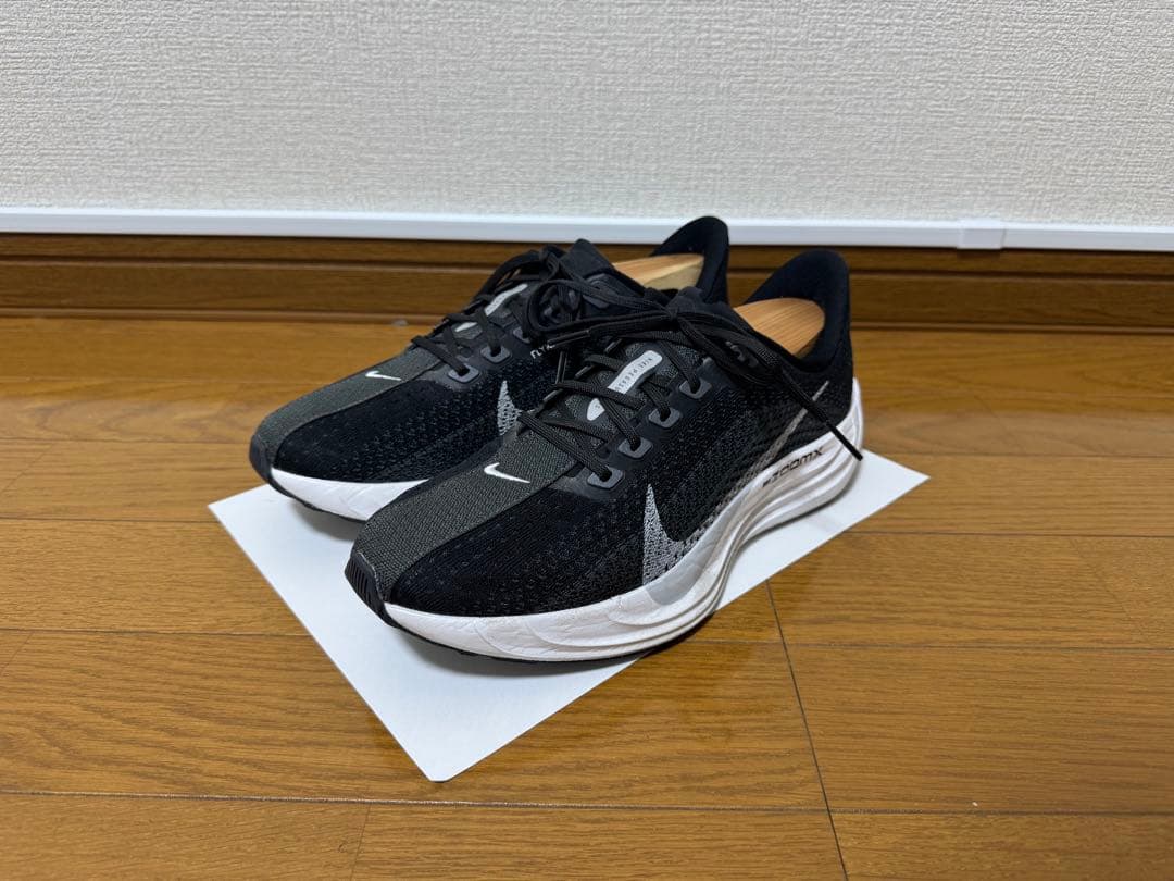 ナイキ　ペガサスプラス 25cm