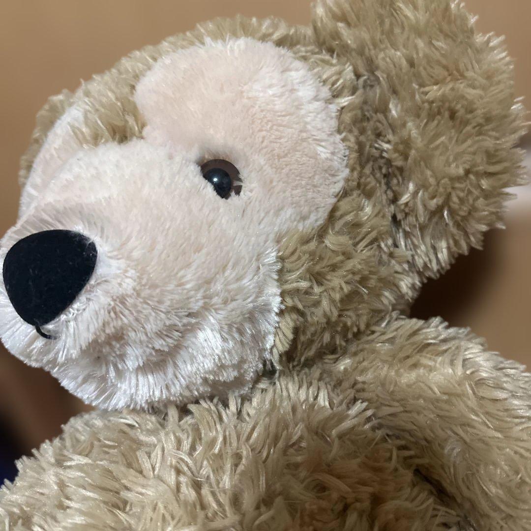 東京ディズニーシー ダッフィー シェリーメイ ぬいぐるみ