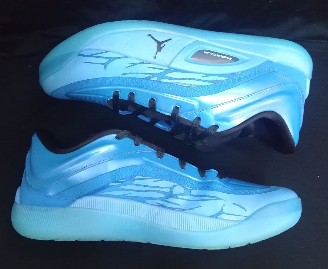 シューズ(男性用) NIKE JORDAN ZION 4 PF 28.5cm US10.5