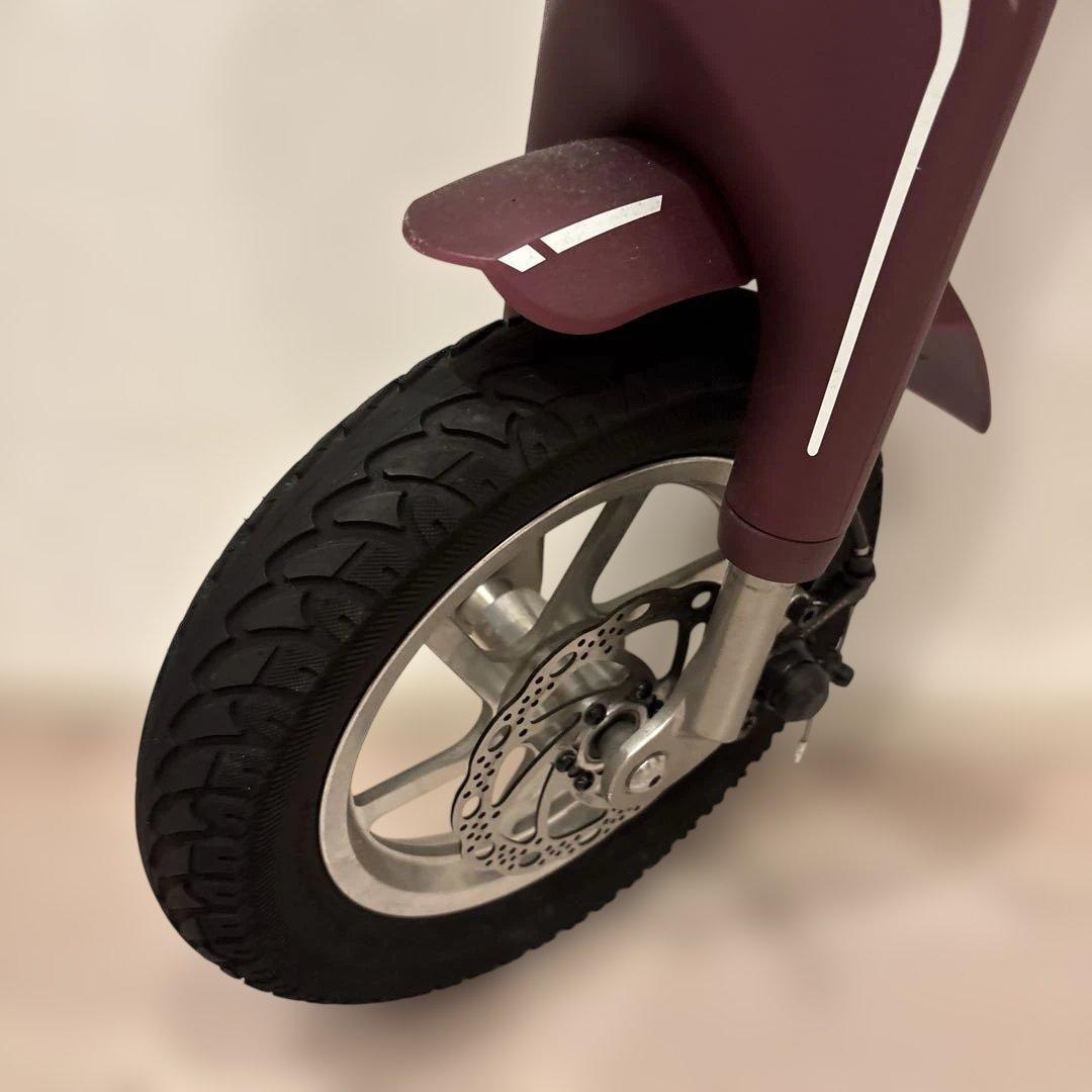 宝*ン様 BLAZE 電動アシスト自転車 ワインレッド