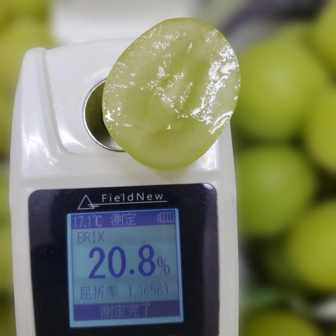 3️⃣ 山梨県産 シャインマスカット＆スカーレット １０房入り 箱込み5.4キロ