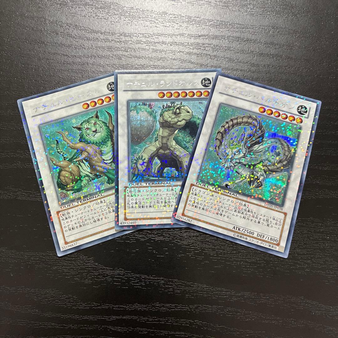 遊戯王　ナチュル　シンクロシークレットレア3枚セット