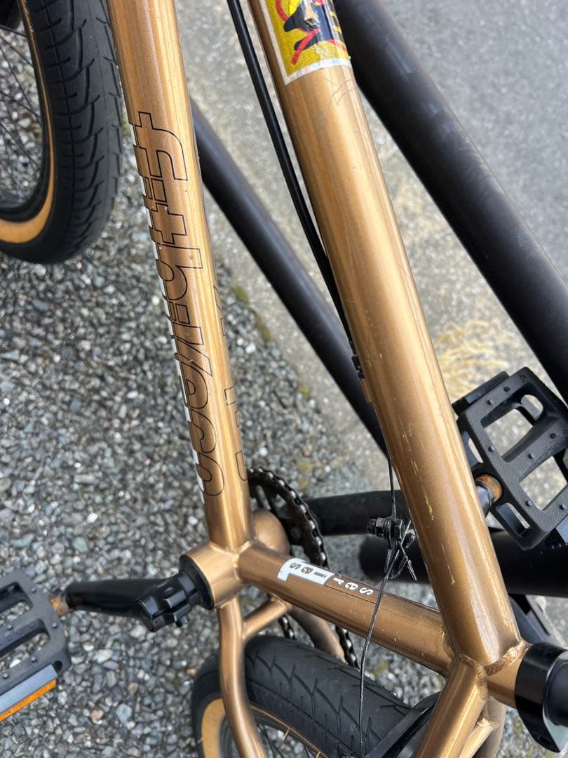 自転車本体 BMX FIT SERIES ONE 20.5