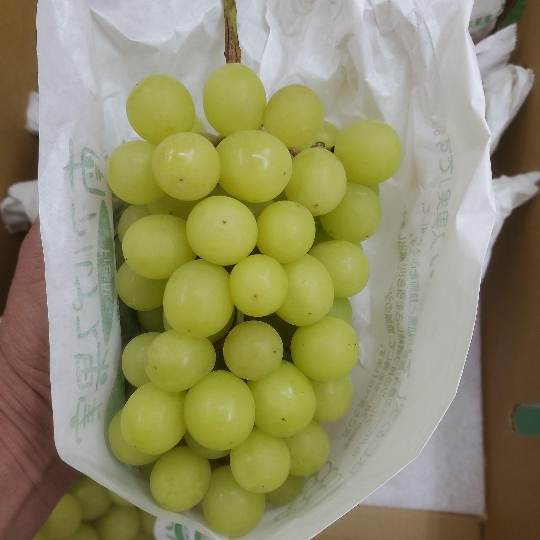 1⃣ 山梨県産 シャインマスカット ９房入り 箱込み5.4キロ