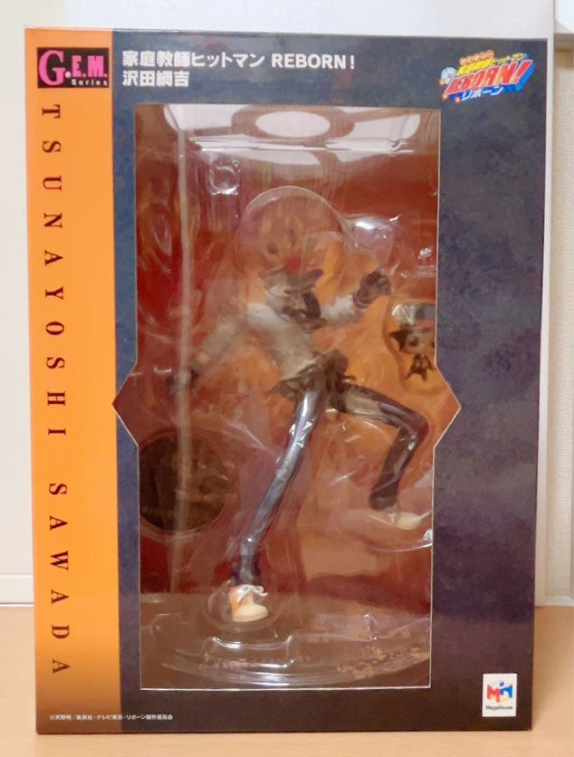 G.E.M.シリーズ 家庭教師ヒットマンREBORN！ 沢田綱吉＆リボーン