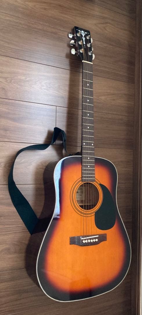 ◾️極美品 Aria アコースティックギター ◾️ソフトケース・教本2冊付