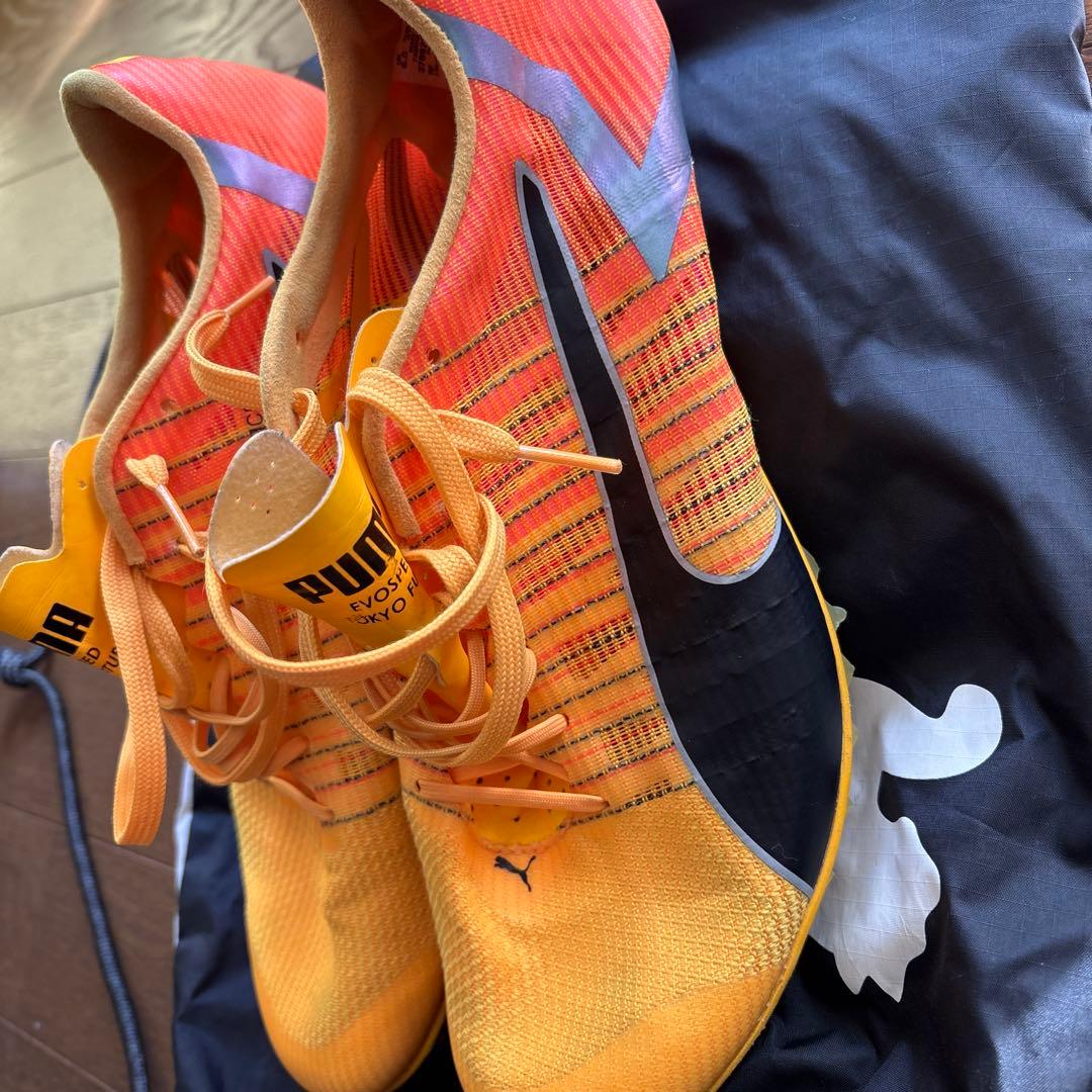 メンズ エヴォスピード フューチャー 25.5陸上用 スパイク