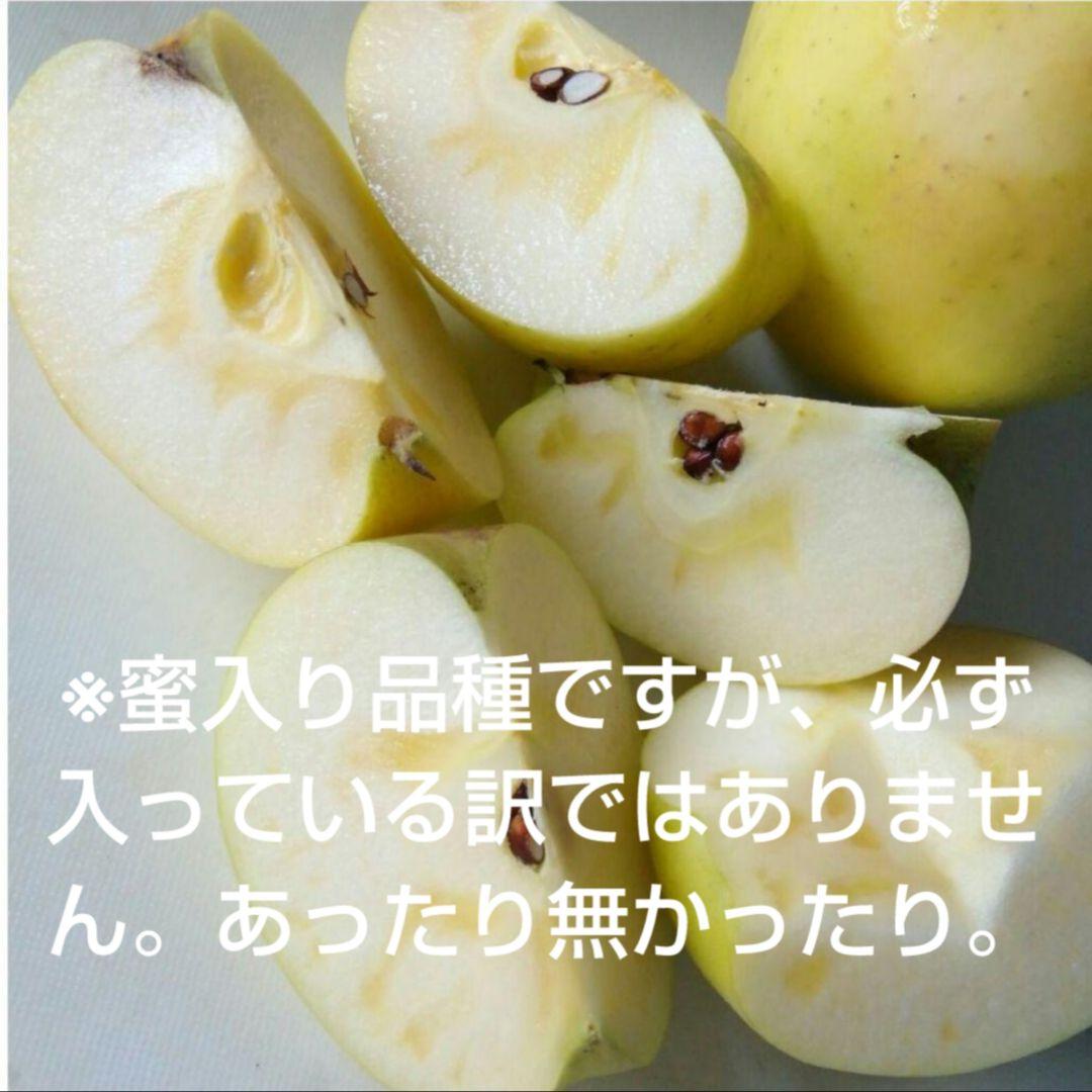 じぃじの美味しい林檎　ぐんま名月10k