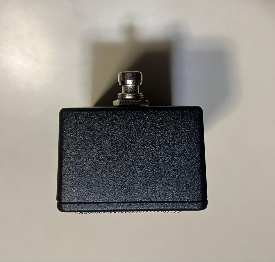 ギター WALRUS AUDIO FUNDAMENTAL AMBIENT