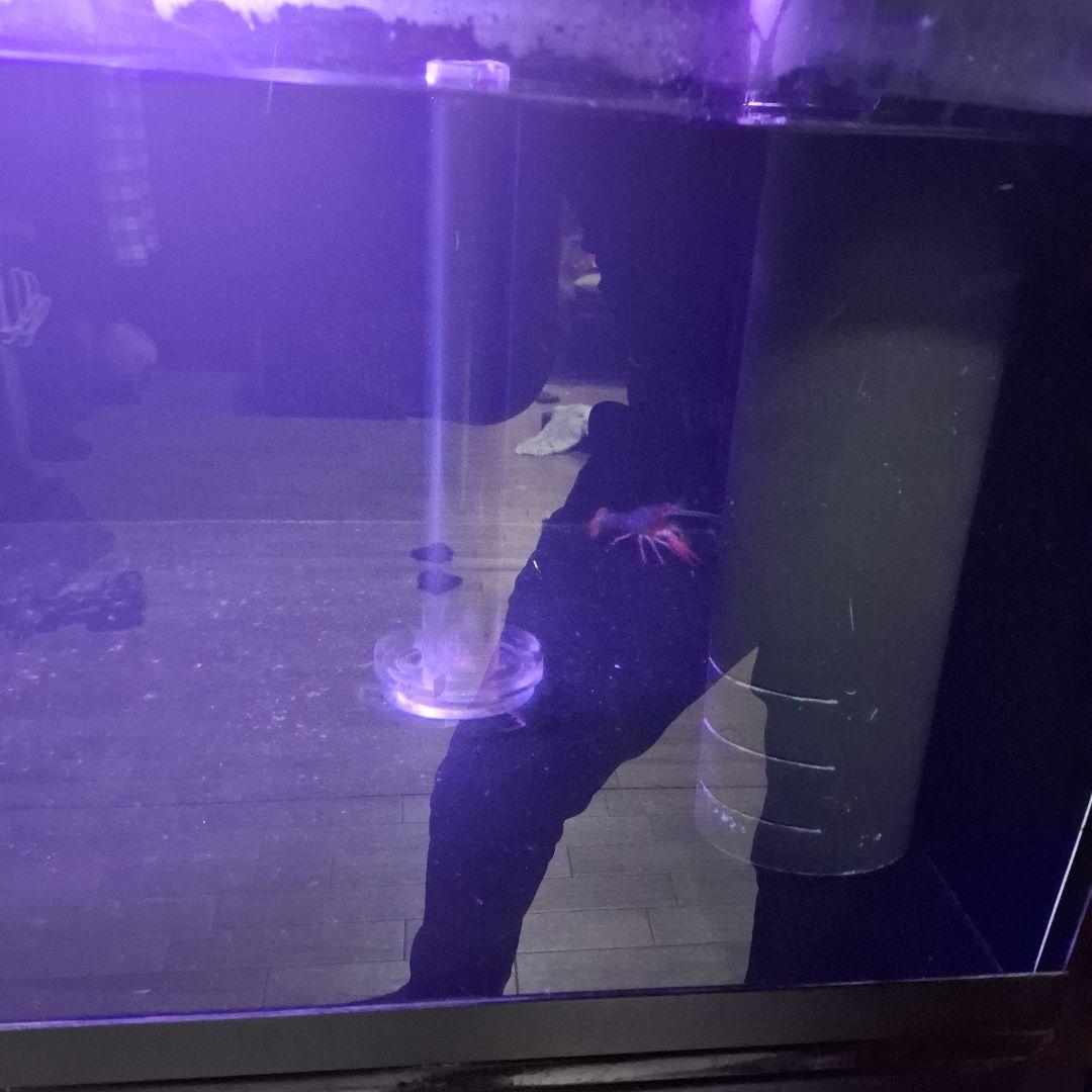 茨城　1600×750×500 アクリル水槽　ジャンク　カンテツ