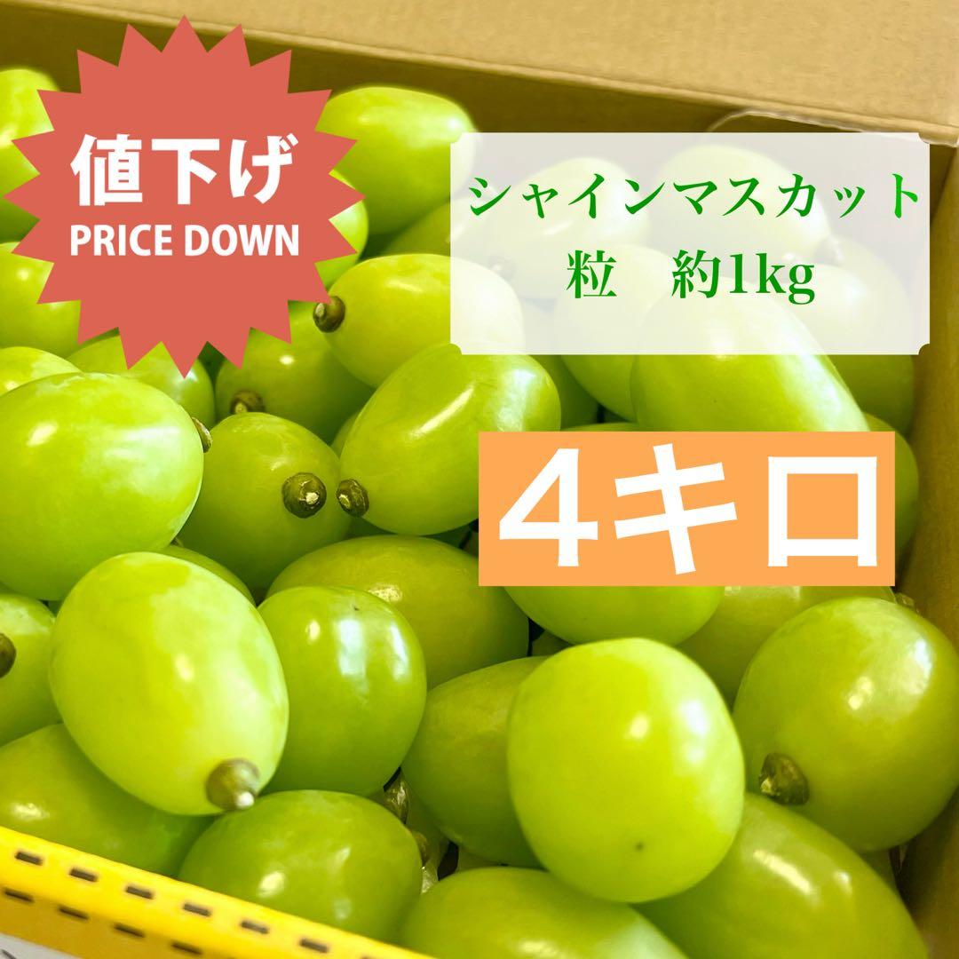 【むぐ】朝採り シャインマスカット 粒約4kg