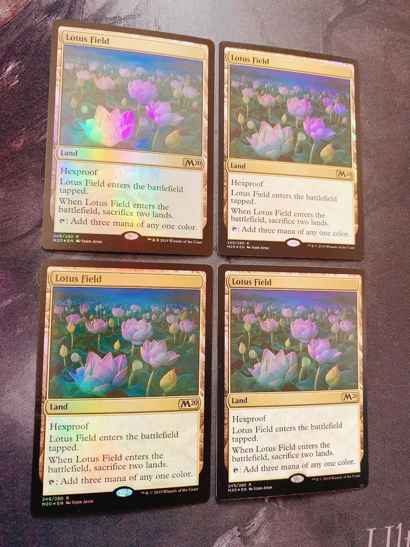 【foil】睡蓮の原野　英語　4枚セット