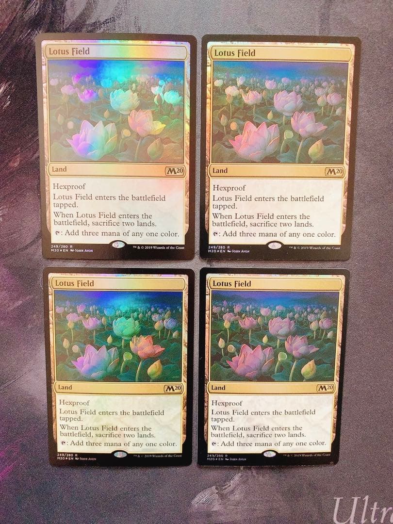 【foil】睡蓮の原野　英語　4枚セット