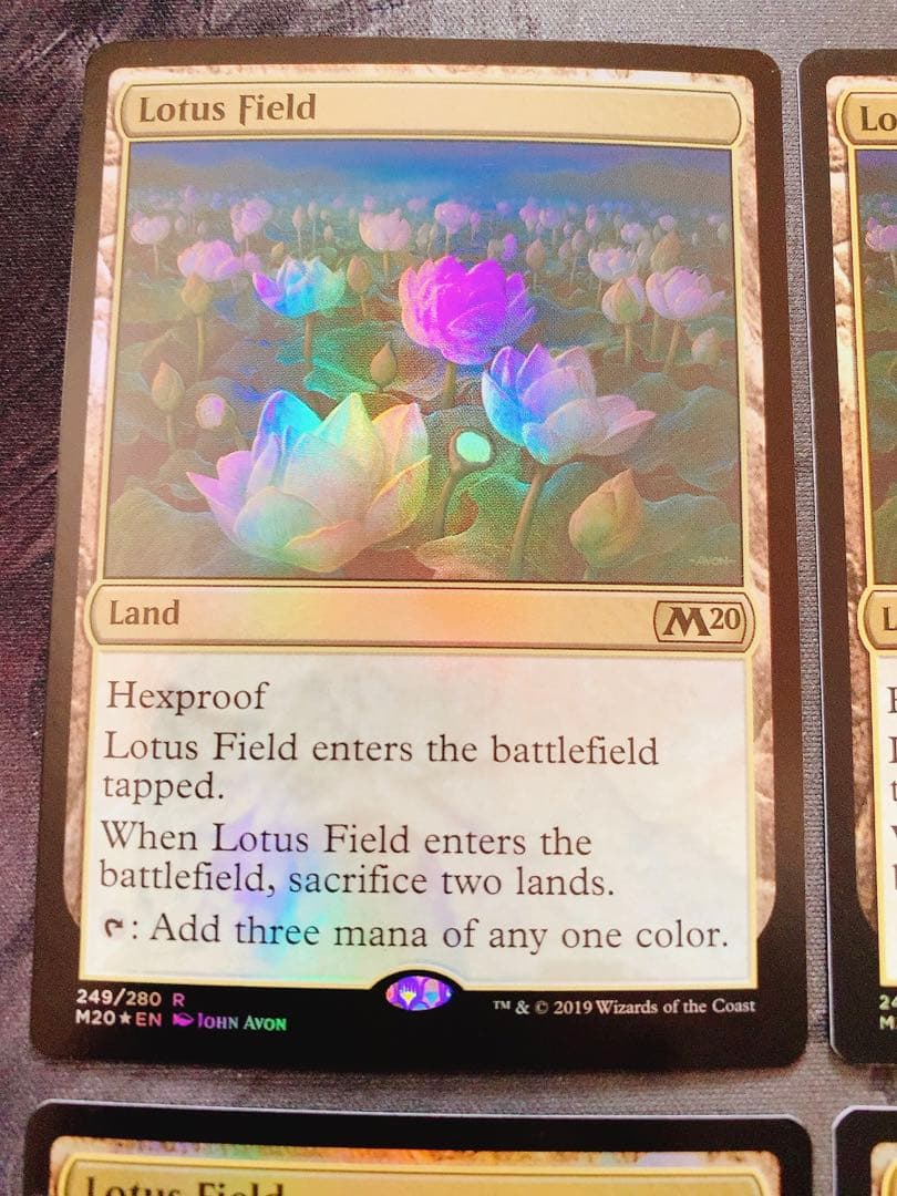 【foil】睡蓮の原野　英語　4枚セット