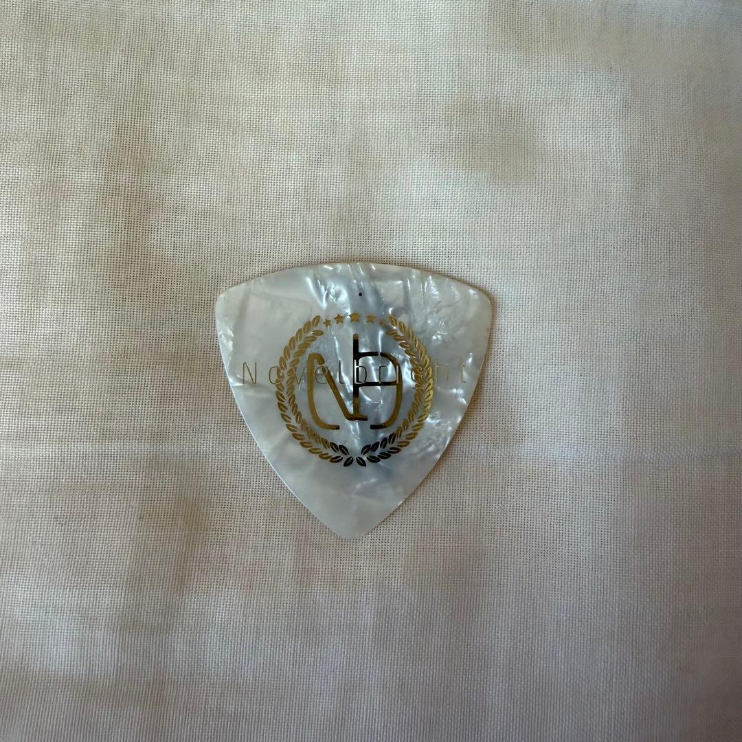 だ*マ様 Novelbright 竹中雄大 サイン入りピック