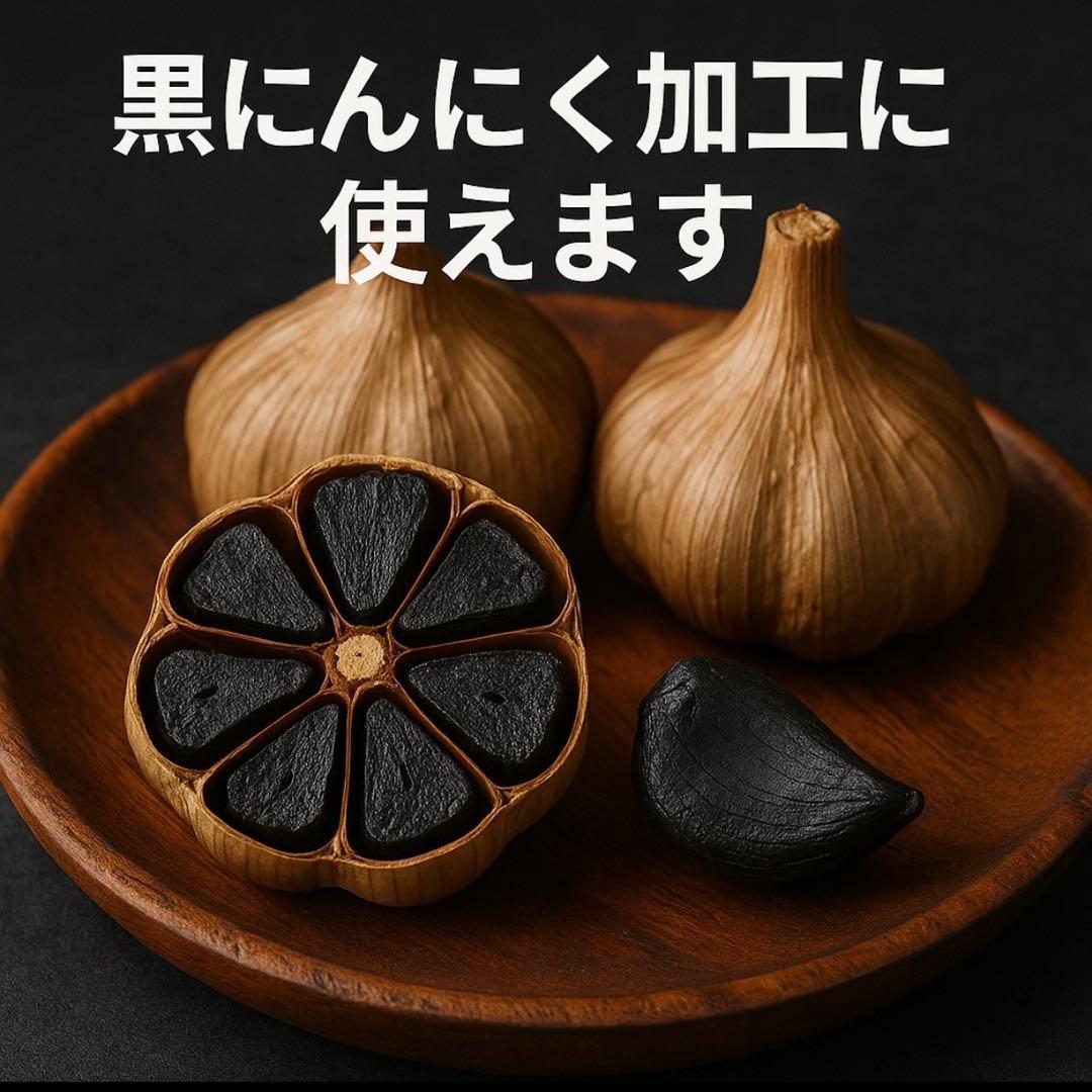 【年末セール】新物 青森県 福地ホワイト にんにく L 10kg 種にんにく