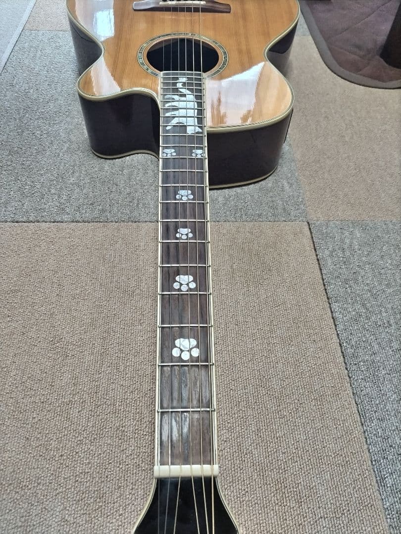 Legend エレアコFCO-STDナチュラルカラー