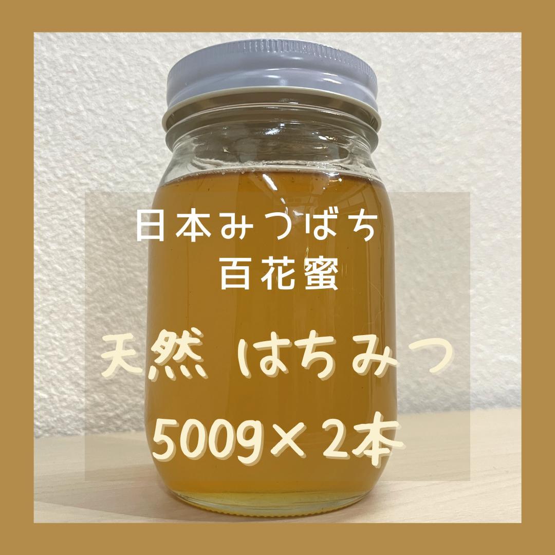天然 日本みつばち はちみつ 500g×2本 非加熱 百花蜜 生ハチミツ 新蜜