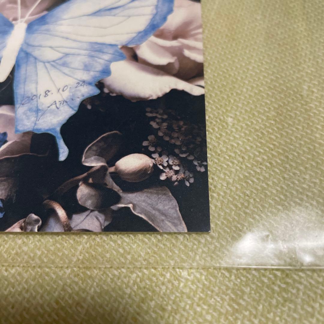 Aimer 直筆サイン入り　アナザージャケット　2018 限定