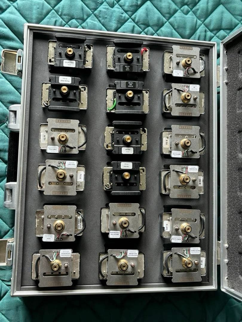 RelishGuitarsFLAMDJANEワンタッチ交換用PU 9組付