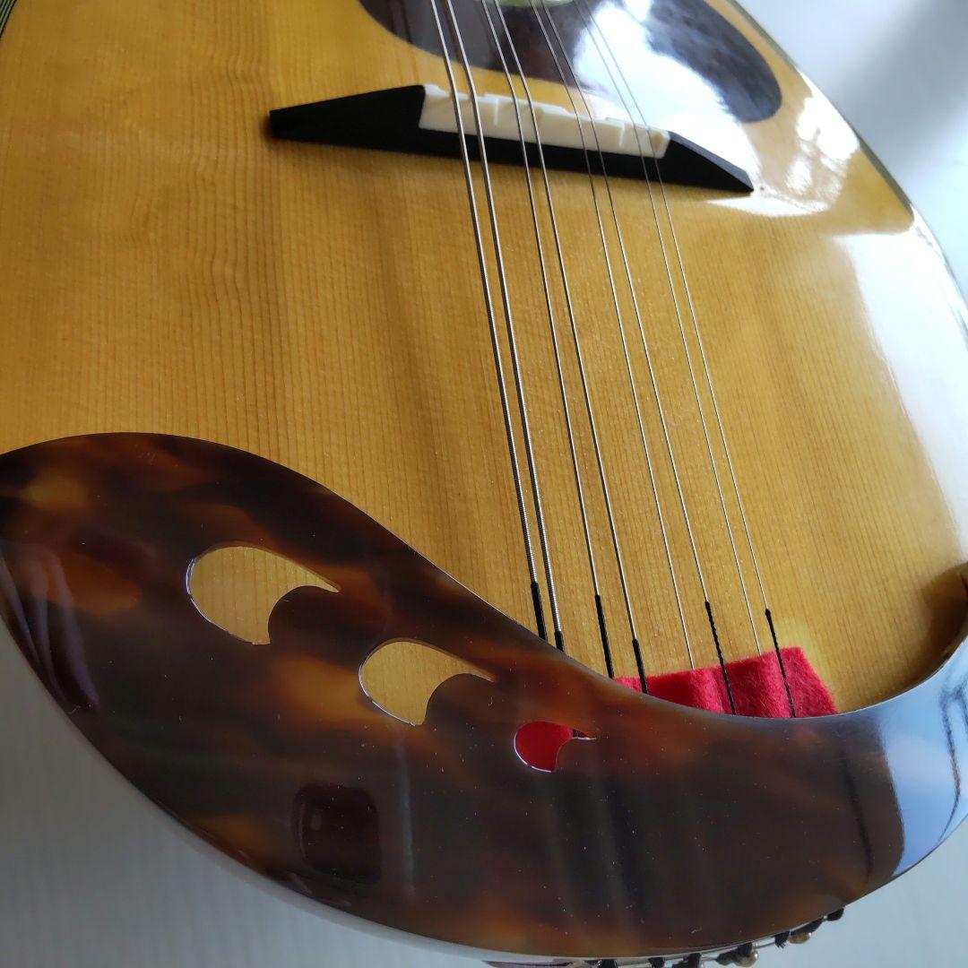 Calaceカラーチェ No24 マンドリン