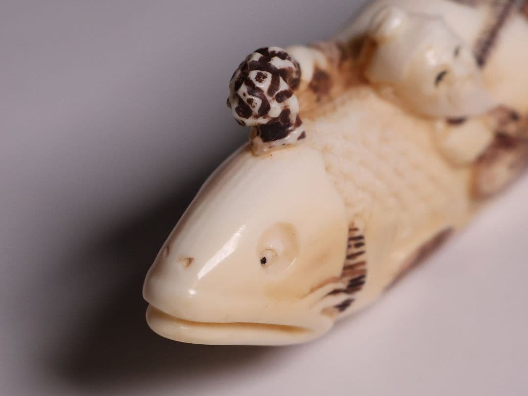 時代 堤物 根付 置物 天然素材 鯉乗寿老人 在銘 峰山 牙 彫刻【CM278】