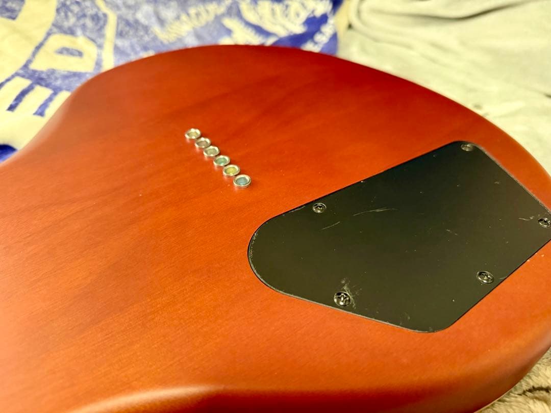 【値下げ】Ryoga Hornet LEC-TQM 中古改良品