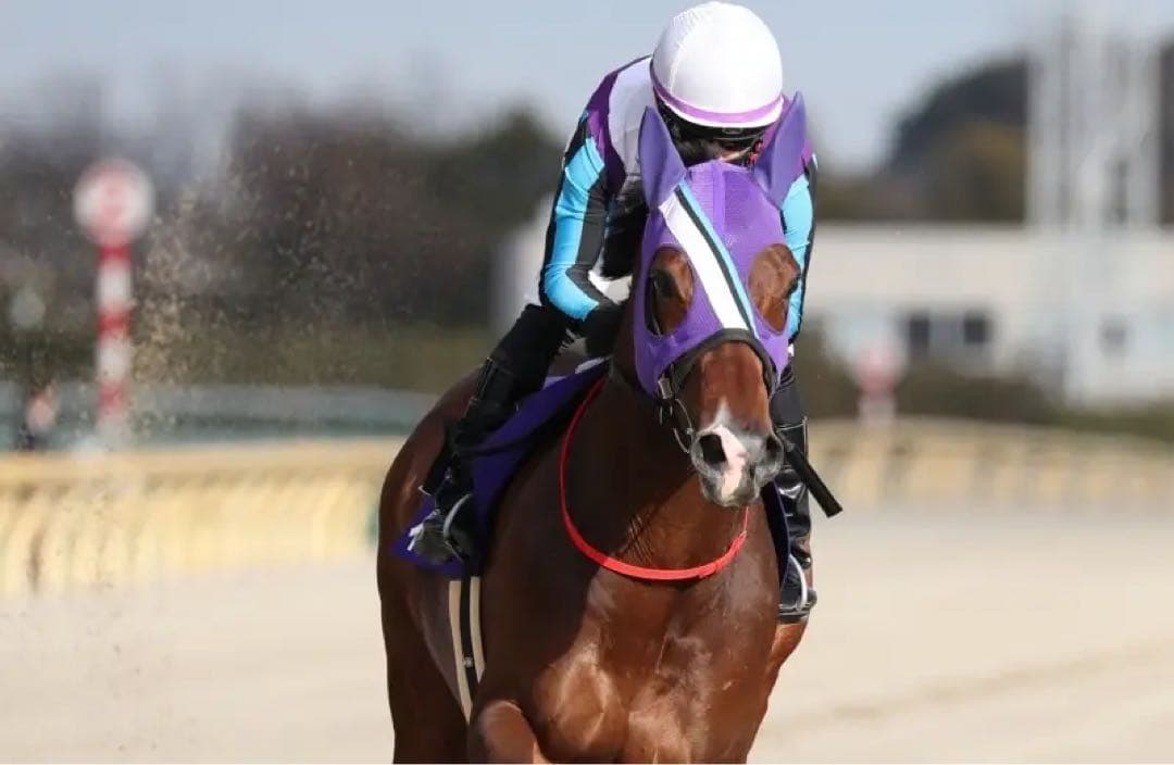 園田競馬 イグナイター 引退式 200枚限定配布 ステッカー